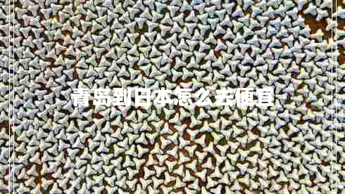 青島到日本怎么去便宜