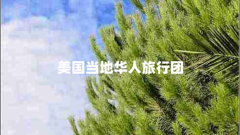 美國當地華人旅行團