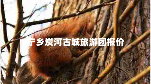 寧鄉炭河古城旅游團報價(jià)