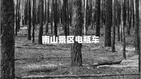 南山景區電瓶車(chē) 南山景區電瓶車(chē)