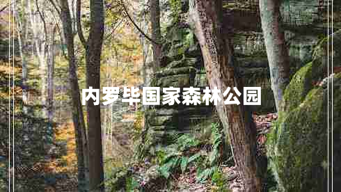 內羅畢國家森林公園