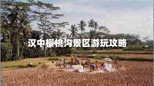 漢中櫻桃溝景區游玩攻略