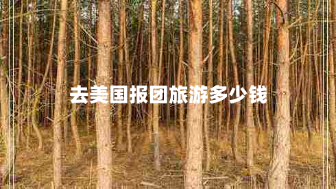 去美國報團旅游多少錢(qián)