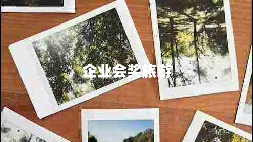 企業(yè)會(huì )獎旅游