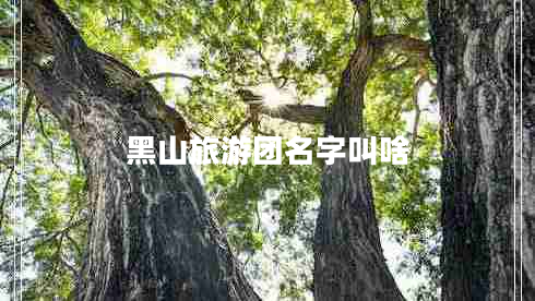 黑山旅游團名字叫啥