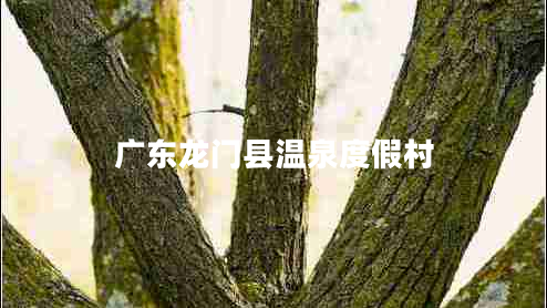 廣東龍門(mén)縣溫泉度假村