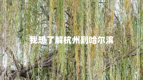 我想了解杭州到哈爾濱