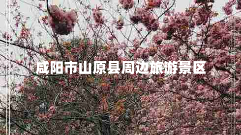 咸陽(yáng)市山原縣周邊旅游景區