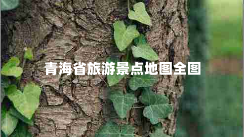 青海省旅游景點(diǎn)地圖全圖