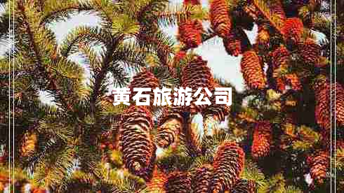 黃石旅游公司