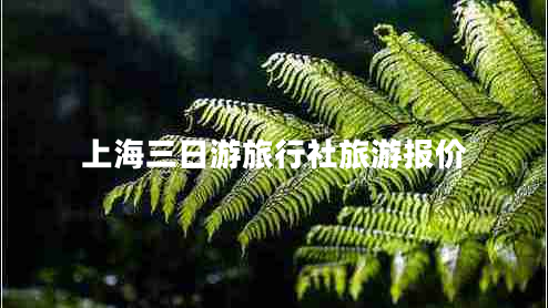 上海三日游旅行社旅游報價(jià)