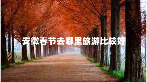 安徽春節去哪里旅游比較好