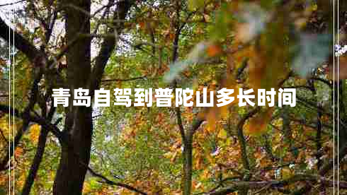 青島自駕到普陀山多長(cháng)時(shí)間