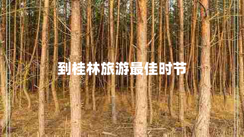 到桂林旅游最佳時(shí)節