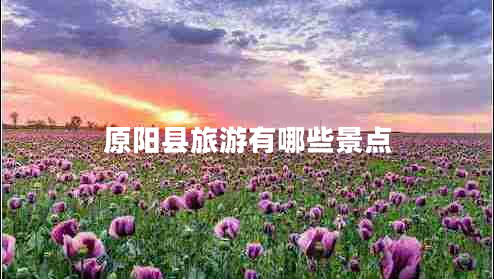 原陽(yáng)縣旅游有哪些景點(diǎn)