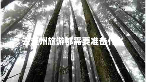 去貴州旅游都需要準備什么