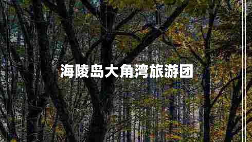 海陵島大角灣旅游團