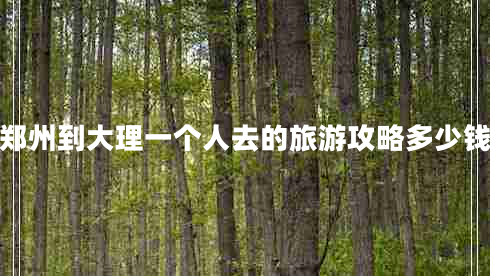 鄭州到大理一個(gè)人去的旅游攻略多少錢(qián)