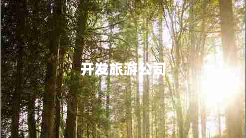 開(kāi)發(fā)旅游公司 開(kāi)發(fā)旅游公司