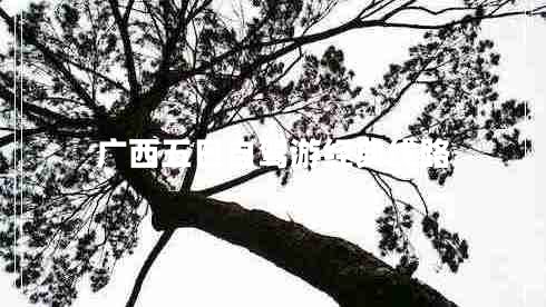 廣西五日自駕游經(jīng)典線(xiàn)路
