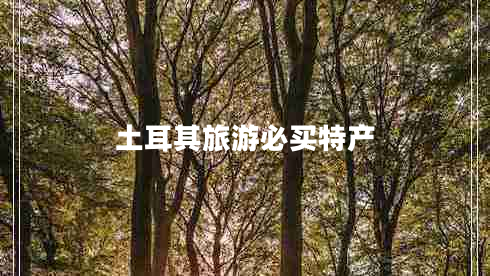 土耳其旅游必買(mǎi)特產(chǎn) 土耳其旅游必買(mǎi)特產(chǎn)