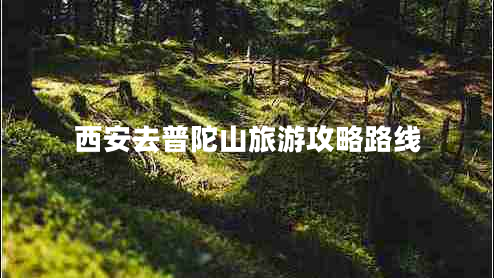 西安去普陀山旅游攻略路線(xiàn)