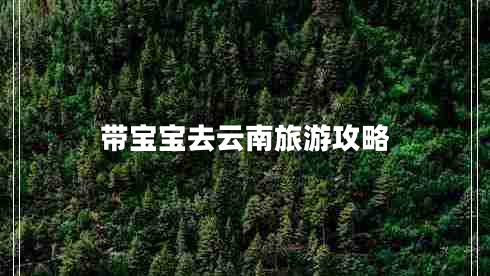 帶寶寶去云南旅游攻略