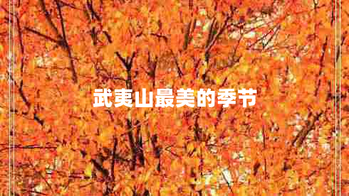 武夷山最美的季節