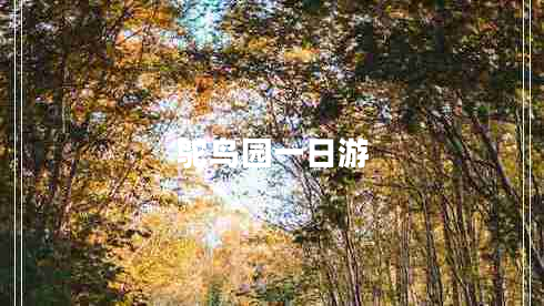 鴕鳥(niǎo)園一日游