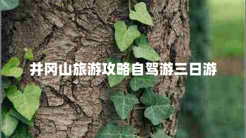 井岡山旅游攻略自駕游三日游