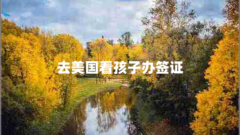 去美國看孩子辦簽證