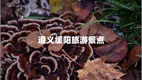 遵義緩陽(yáng)旅游景點(diǎn)