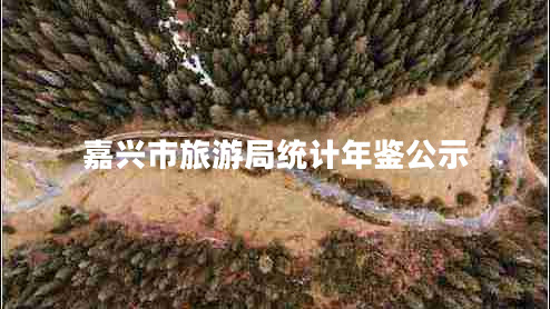 嘉興市旅游局統計年鑒公示