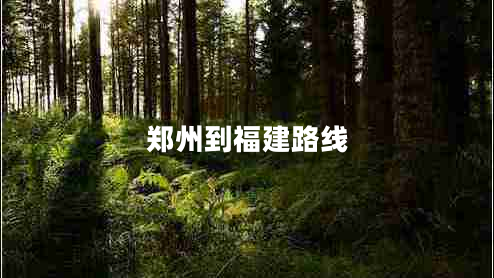 鄭州到福建路線(xiàn)