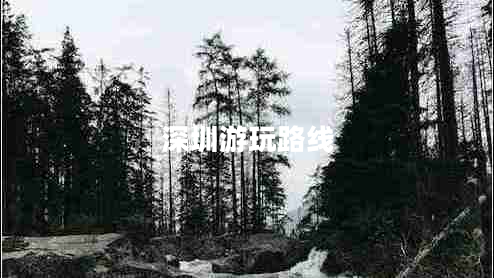 深圳游玩路線(xiàn)