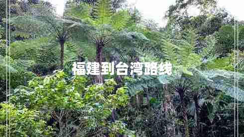 福建到臺灣路線(xiàn)
