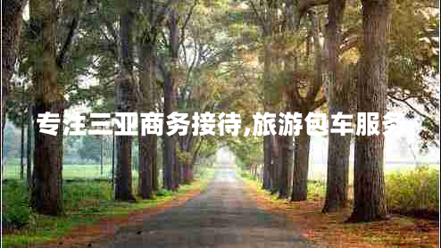 專(zhuān)注三亞商務(wù)接待,旅游包車(chē)服務(wù)