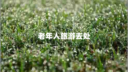 老年人旅游去處