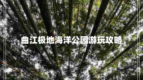 曲江極地海洋公園游玩攻略 曲江極地海洋公園游玩攻略