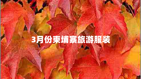 3月份柬埔寨旅游服裝