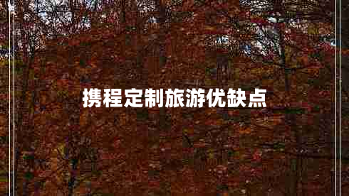 攜程定制旅游優(yōu)缺點(diǎn)