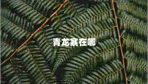 青龍寨在哪 青龍寨在哪