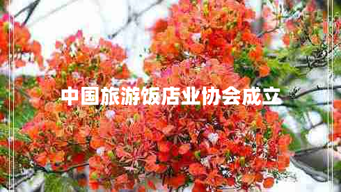 中國旅游飯店業(yè)協(xié)會(huì )成立