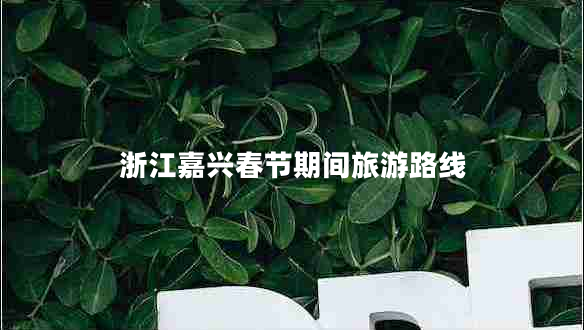 浙江嘉興春節期間旅游路線(xiàn)