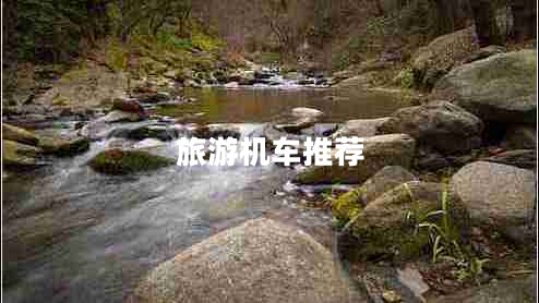 旅游機車(chē)推薦 旅游機車(chē)推薦