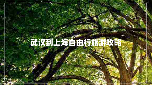 武漢到上海自由行旅游攻略