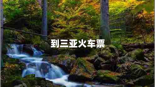 到三亞火車(chē)票