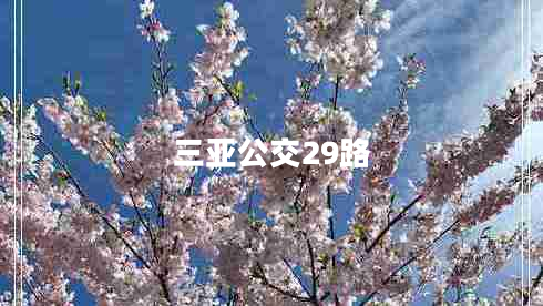 三亞公交29路