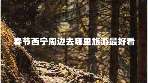 春節西寧周邊去哪里旅游最好看