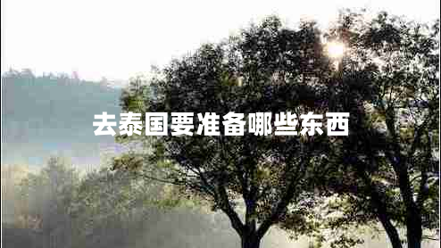 去泰國要準備哪些東西